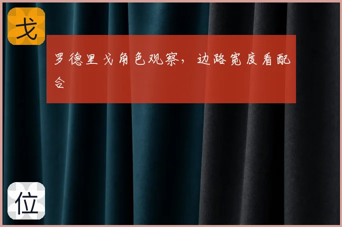 罗德里戈角色观察，边路宽度看配合